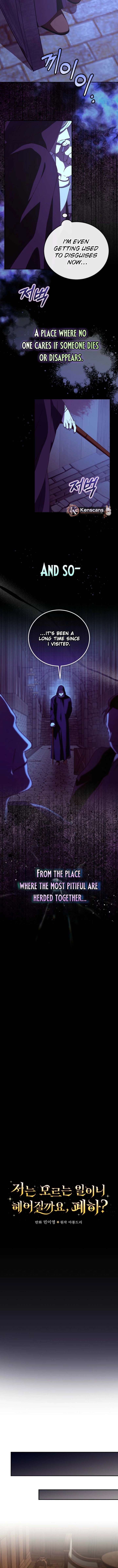 Since I Don’t Remember Anything About It, Shall We Break Up, Your Majesty? Chapter 45 54 08