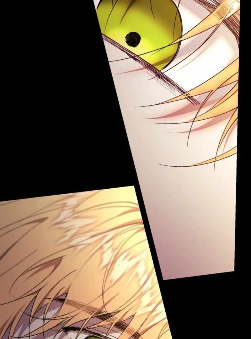 091