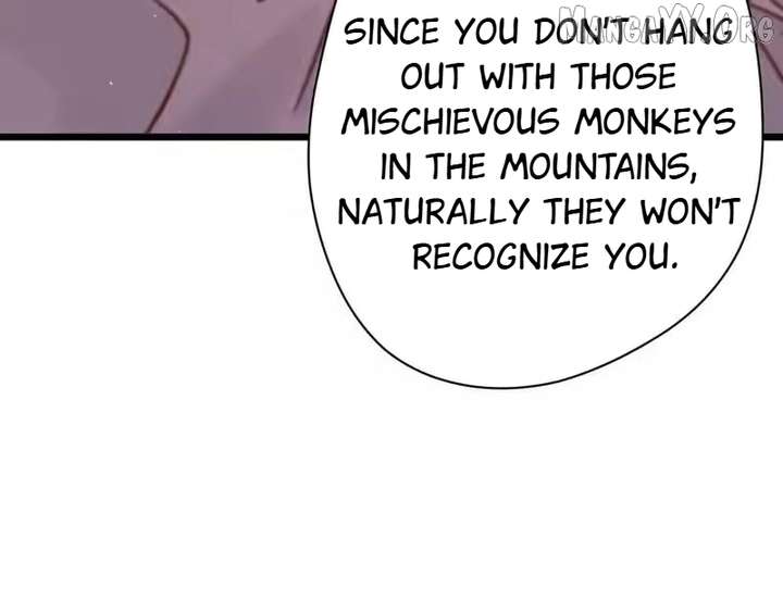 ch 41 41