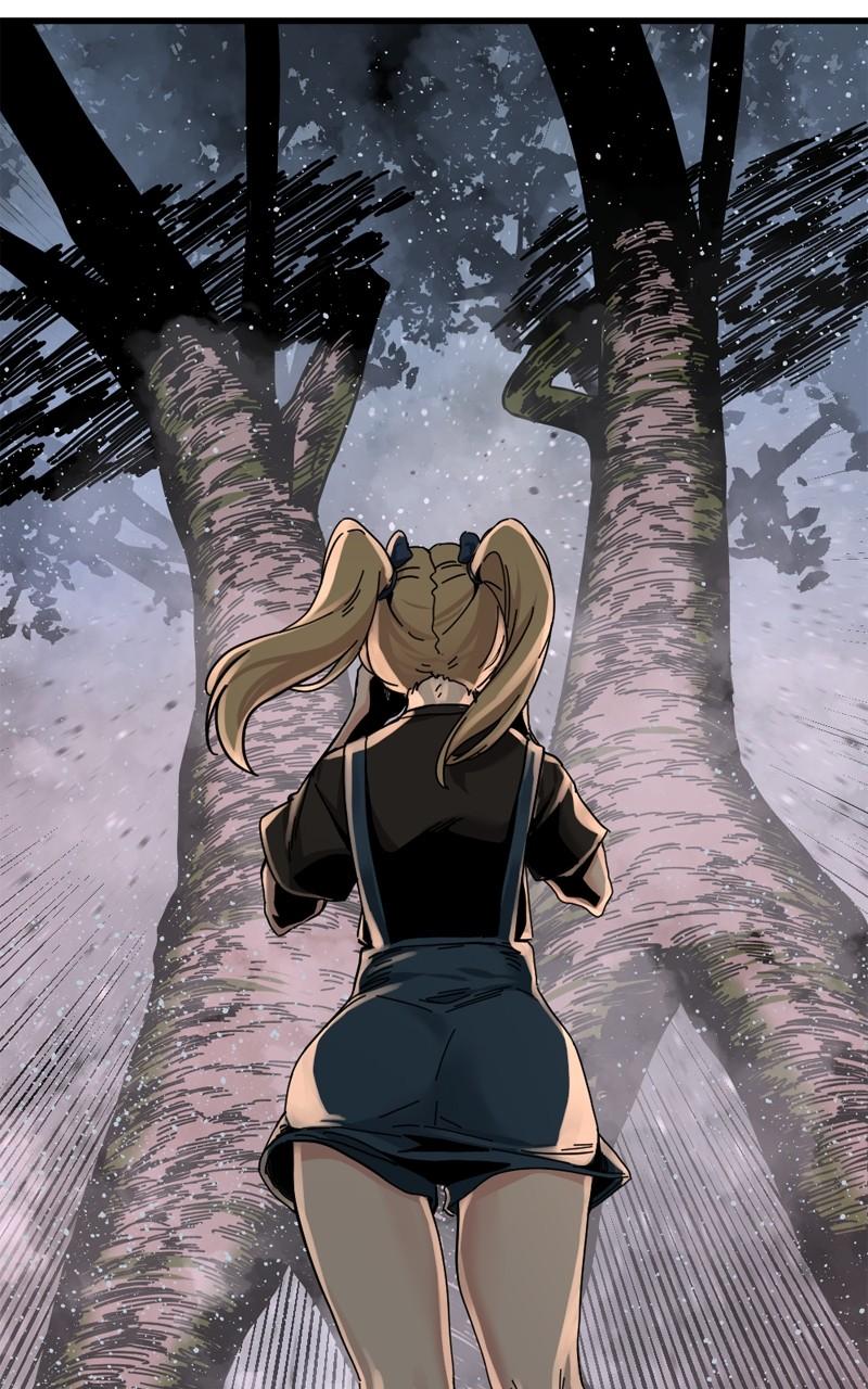 81