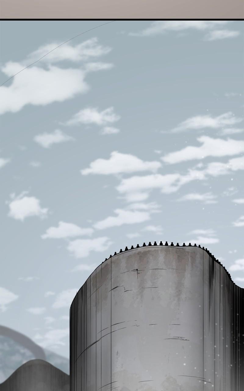 81