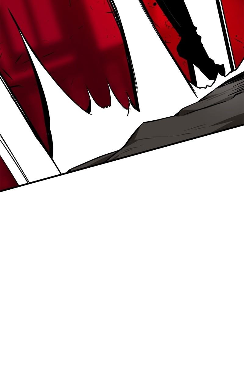 81