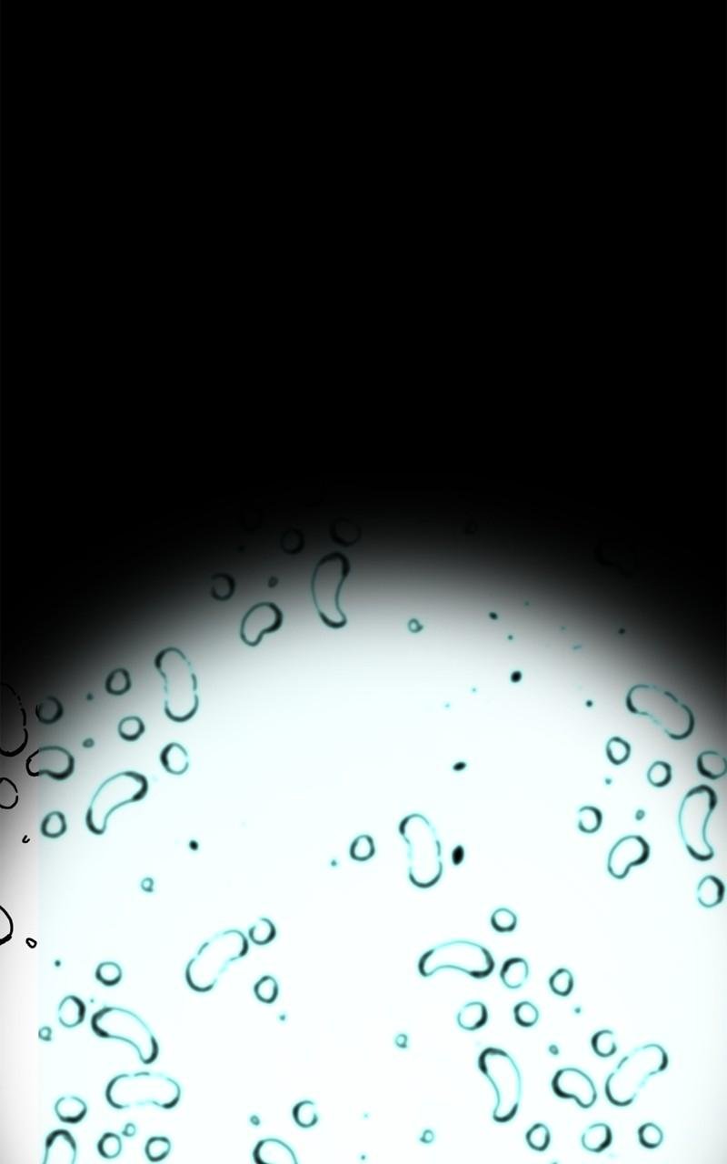 85