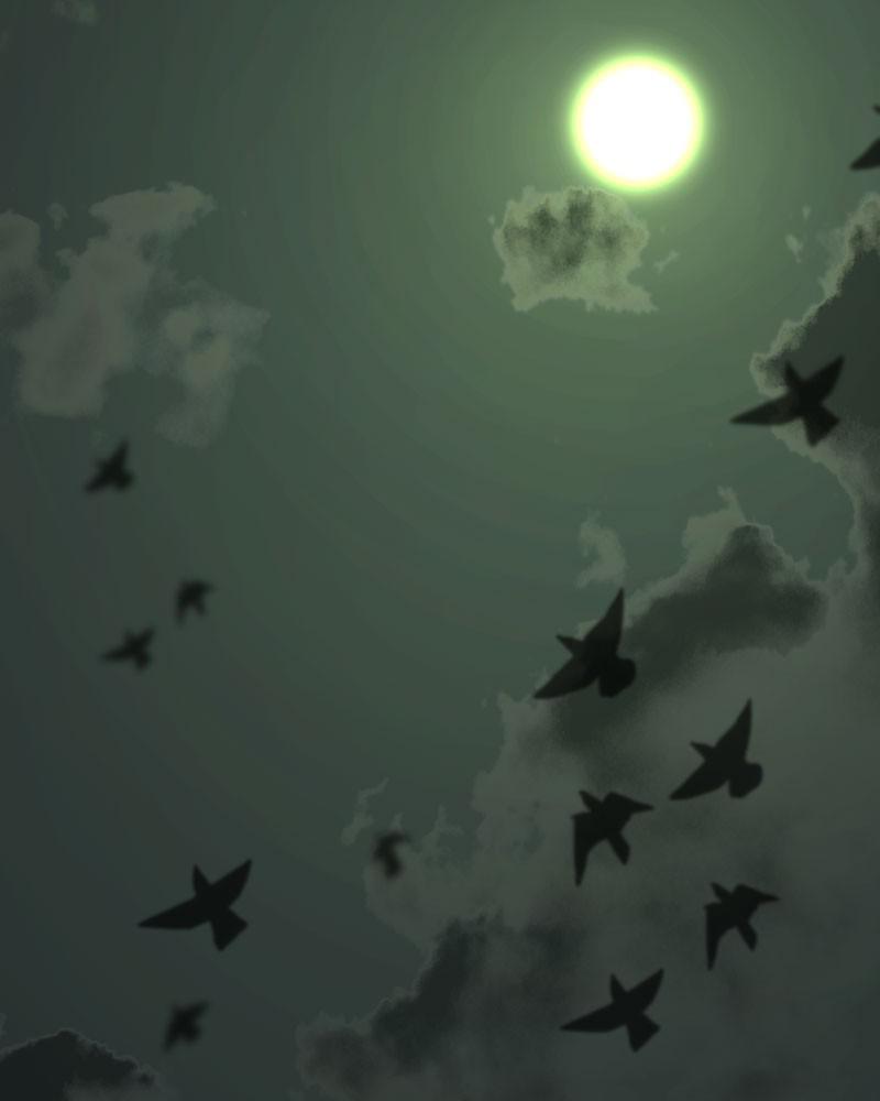 176
