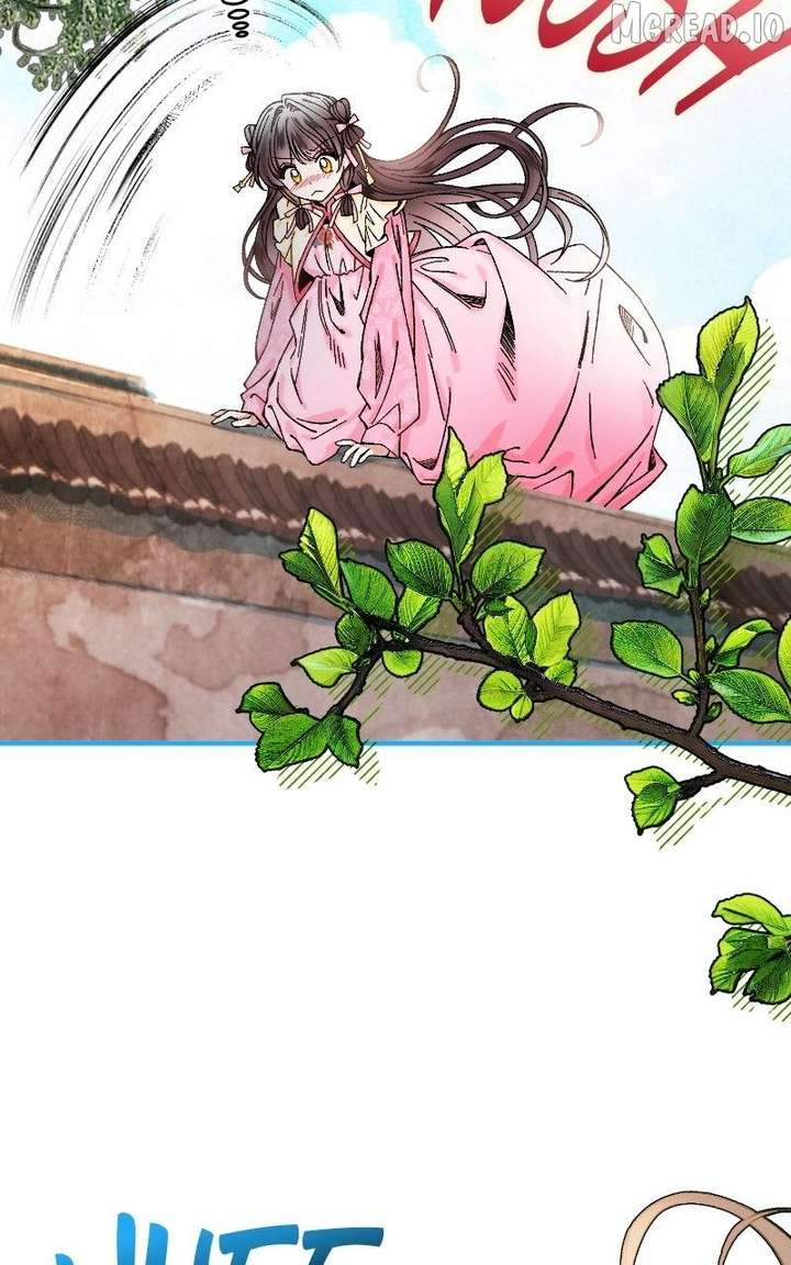ch 42 46