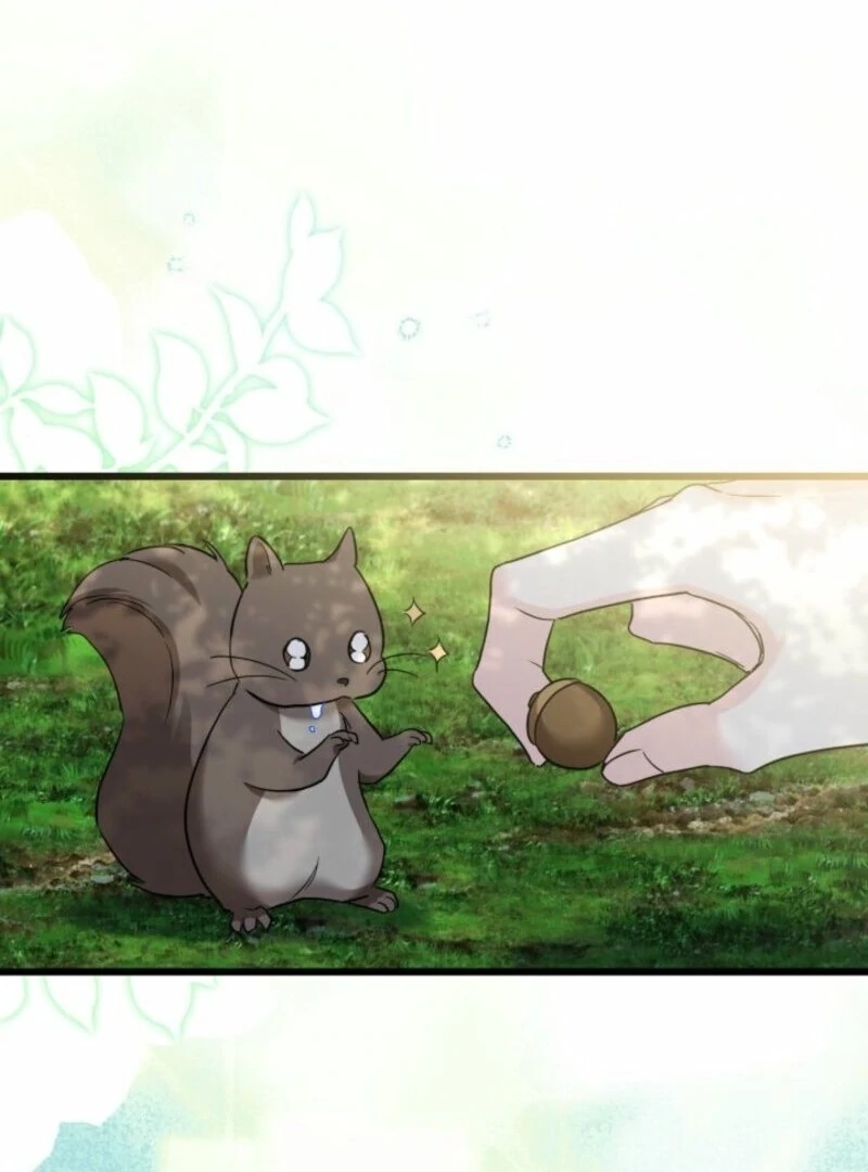 81