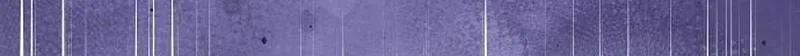 41538b6855a2