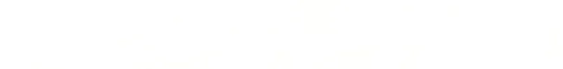 8f1217ff3c51