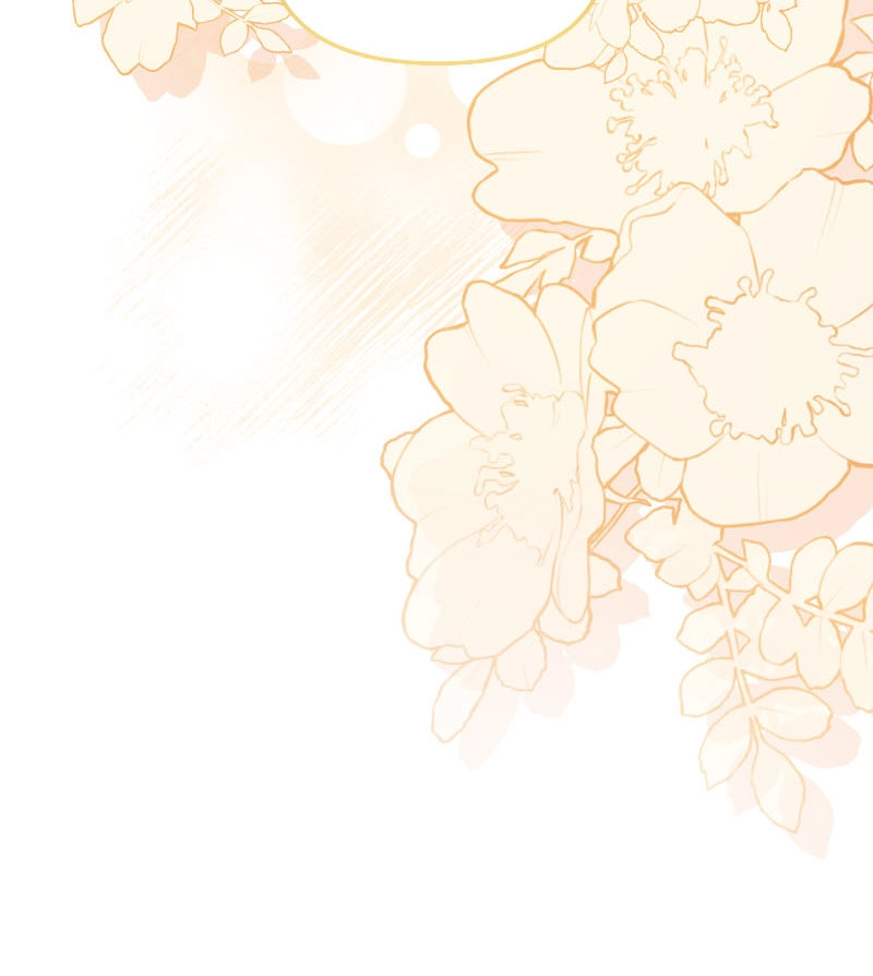 c397f3155a5b