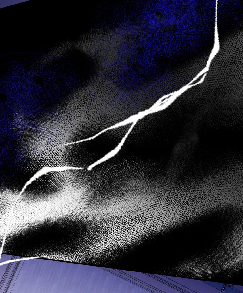 b3ba208e7981
