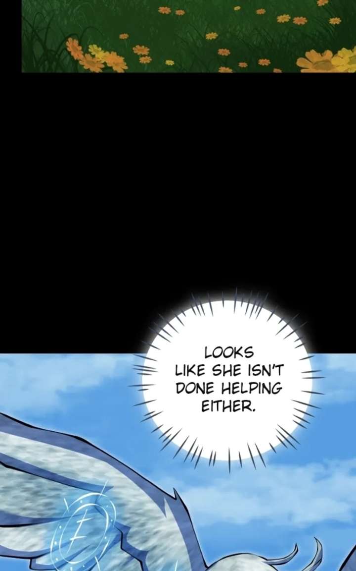 146