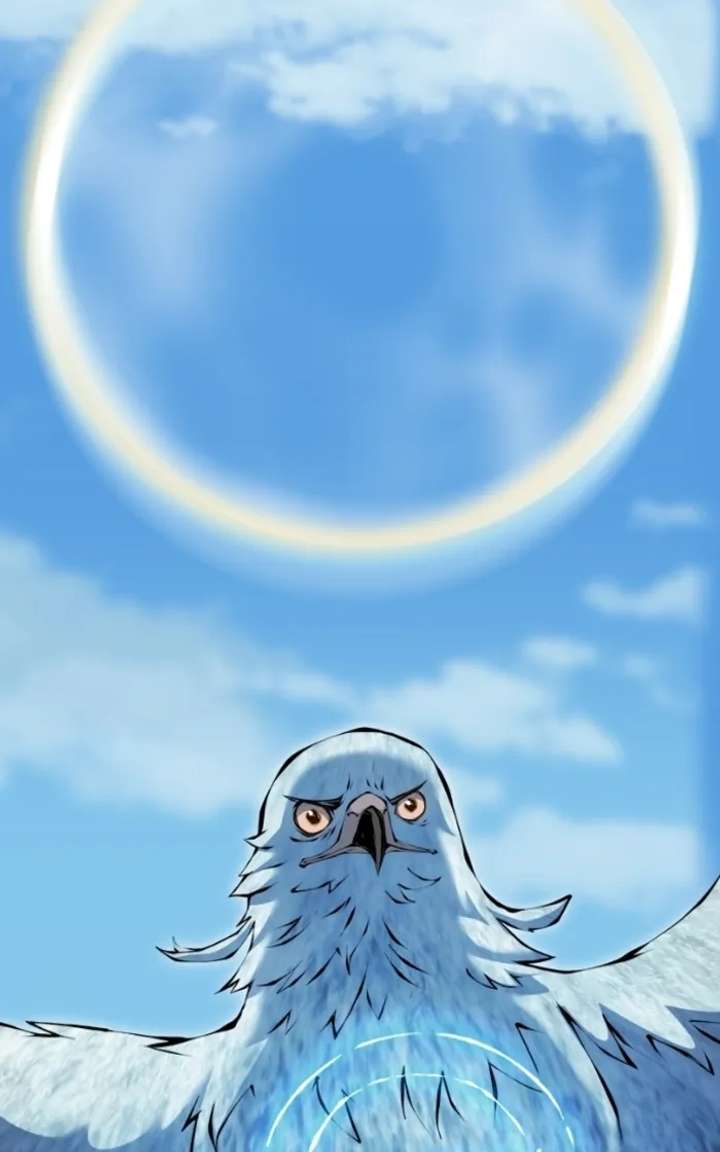 63