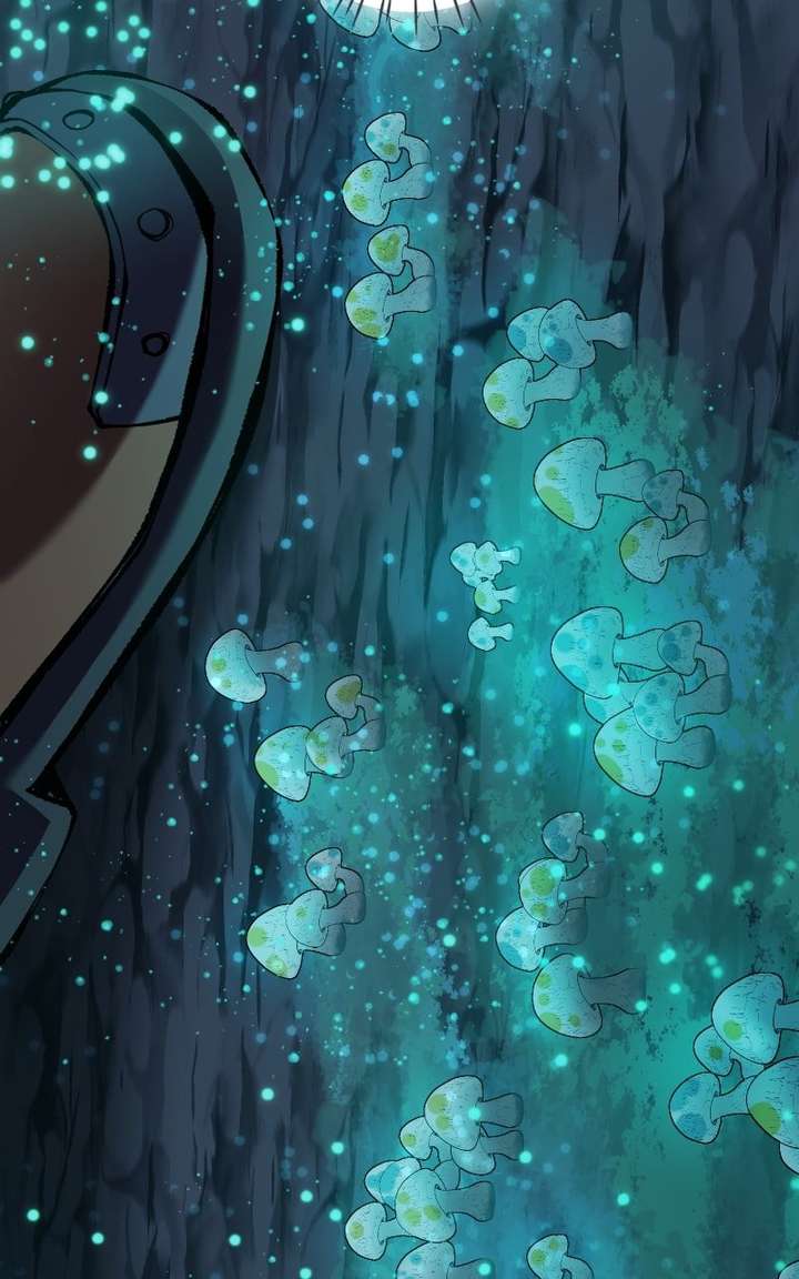 019