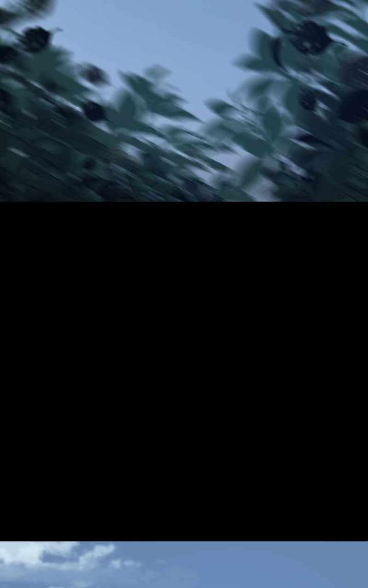 061