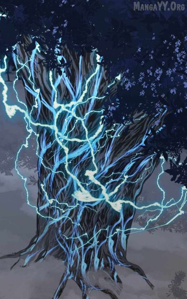 146