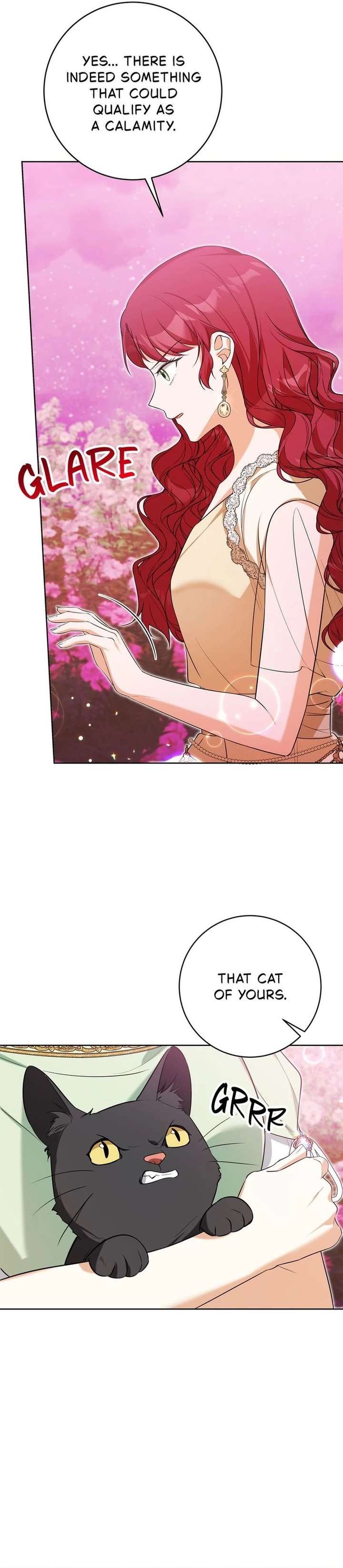 ch 51 28