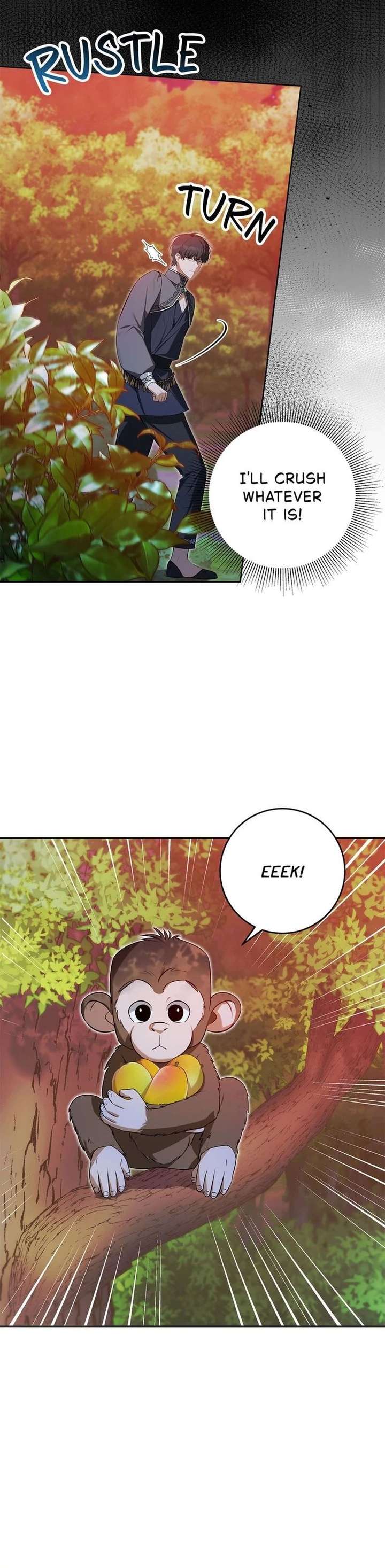 ch 51 34