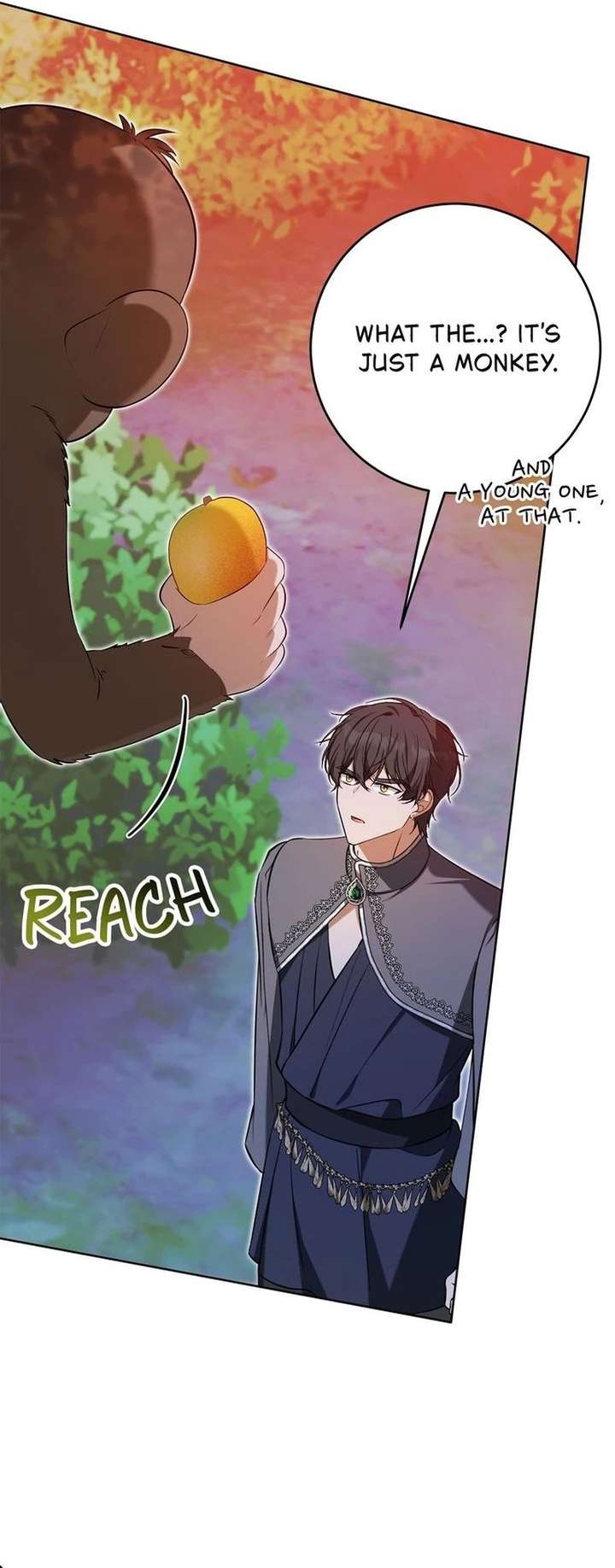 ch 51 35