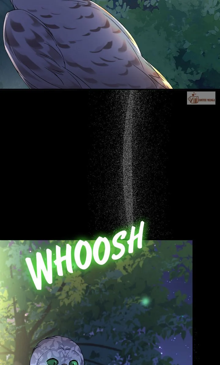 Dear, Not Cunning Witch Chapter 16 336 62