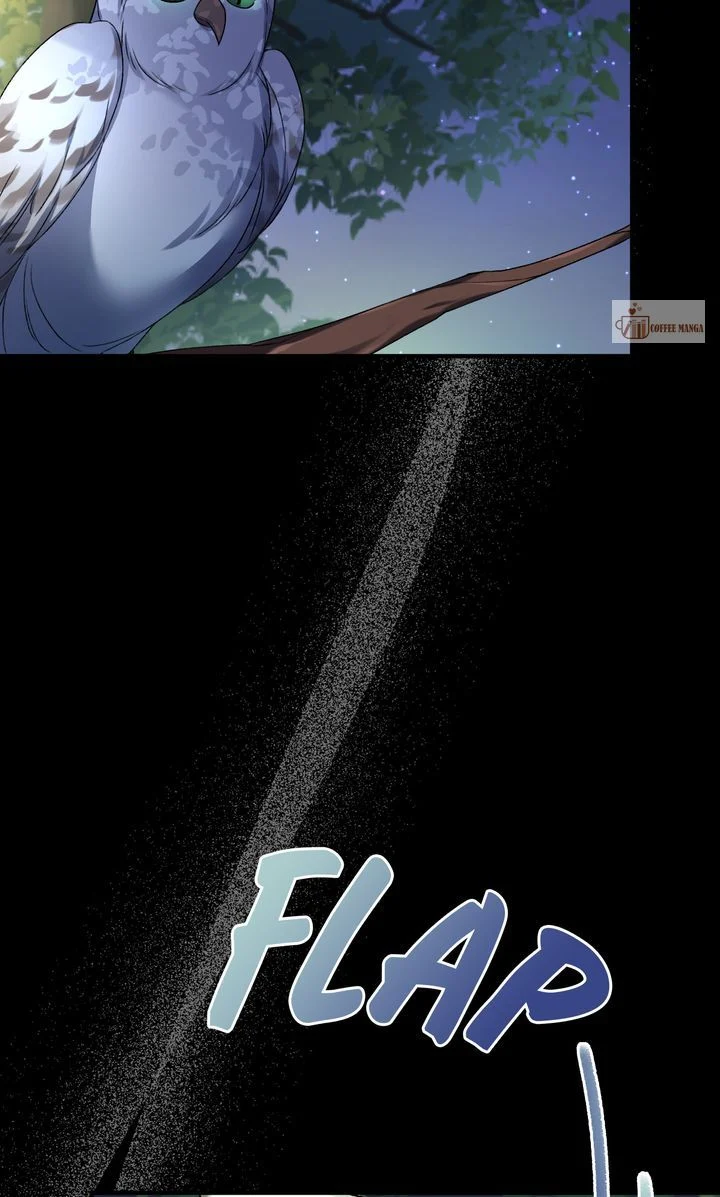 Dear, Not Cunning Witch Chapter 16 337 63