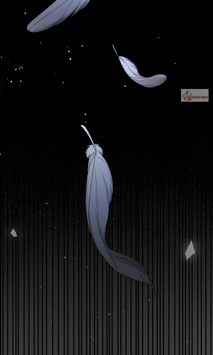 Dear, Not Cunning Witch Chapter 16 341 67