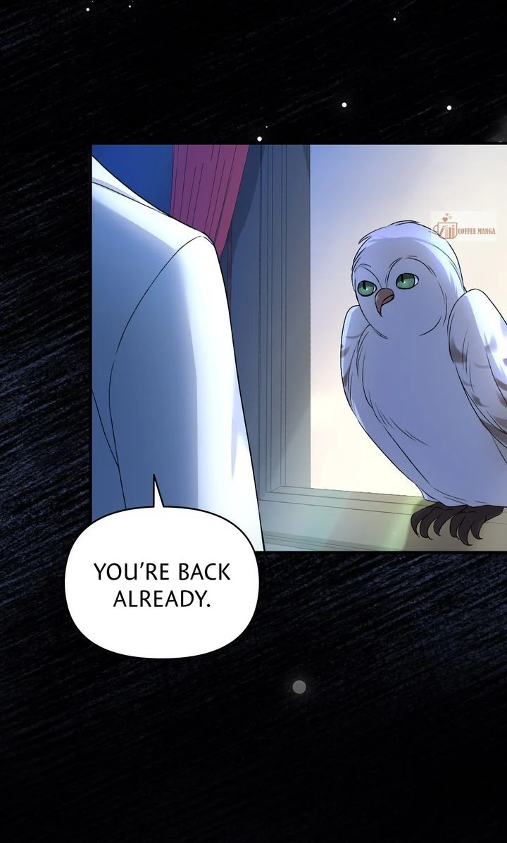 Dear, Not Cunning Witch Chapter 16 344 70