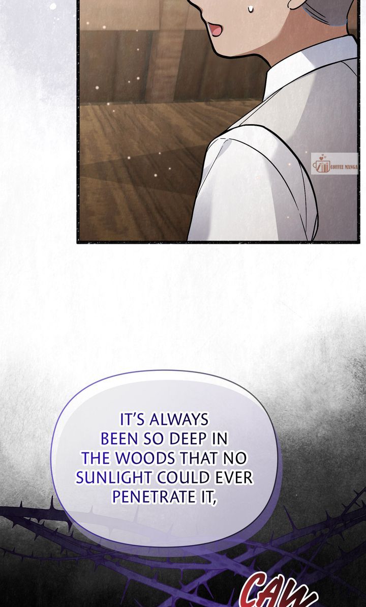 Dear, Not Cunning Witch Chapter 28 293 16