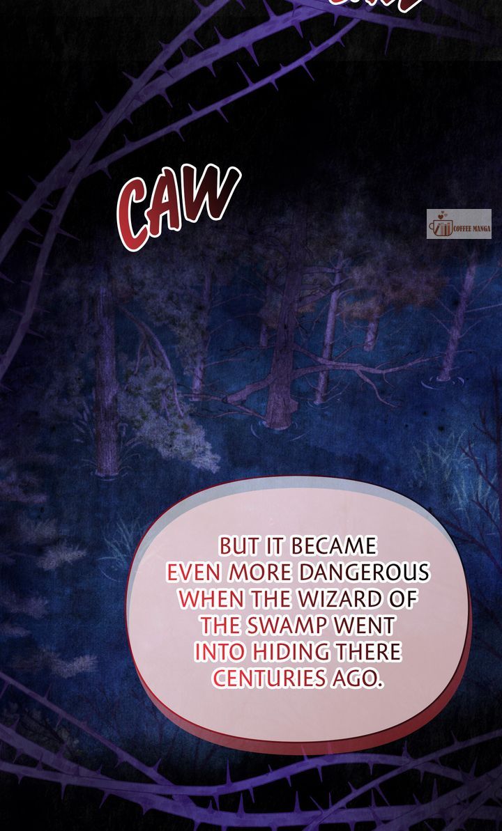 Dear, Not Cunning Witch Chapter 28 294 17