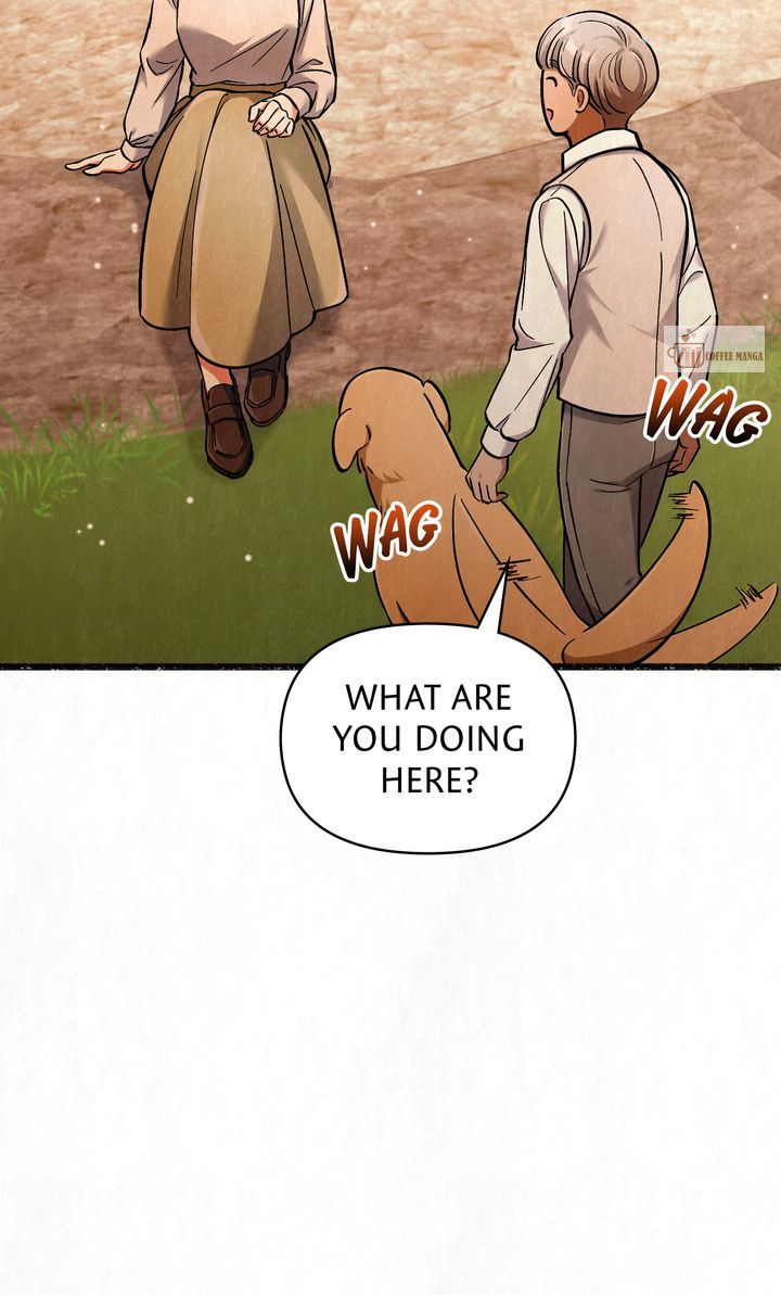 Dear, Not Cunning Witch Chapter 28 331 54