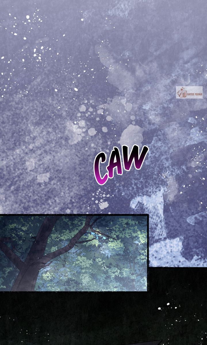 Dear, Not Cunning Witch Chapter 29 314 67