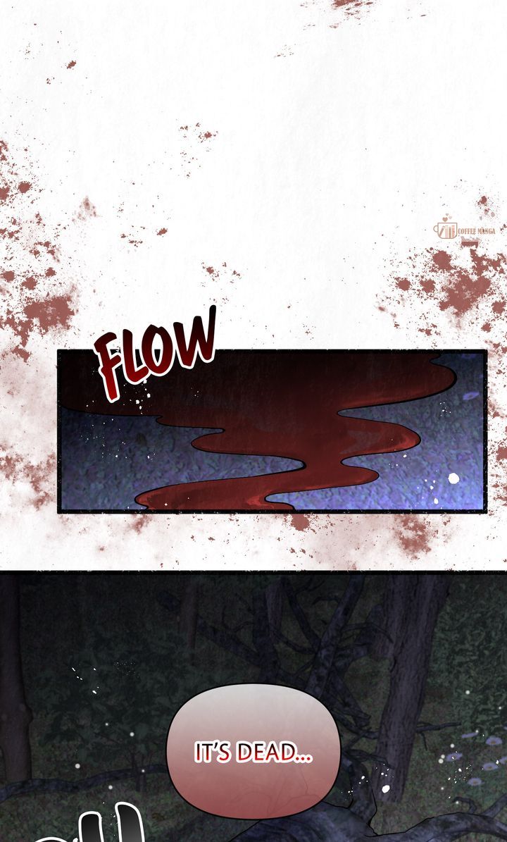 Dear, Not Cunning Witch Chapter 30 219 05