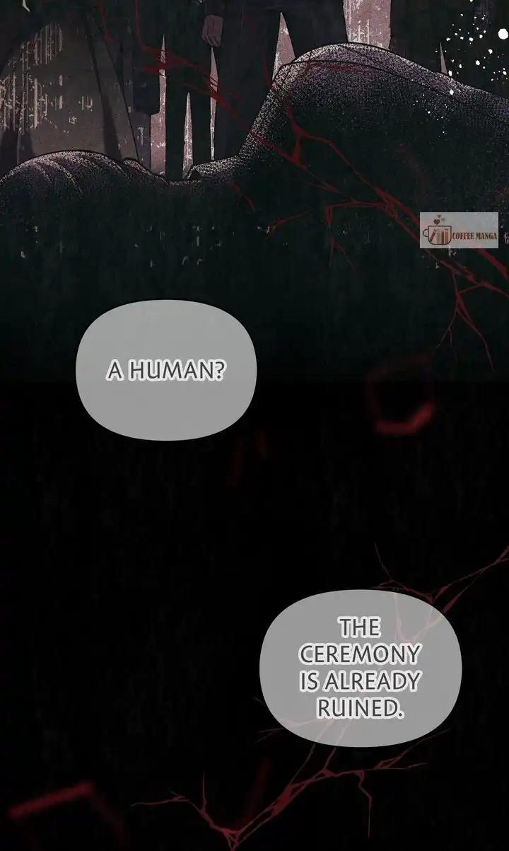 Dear, Not Cunning Witch Chapter 35 314 61