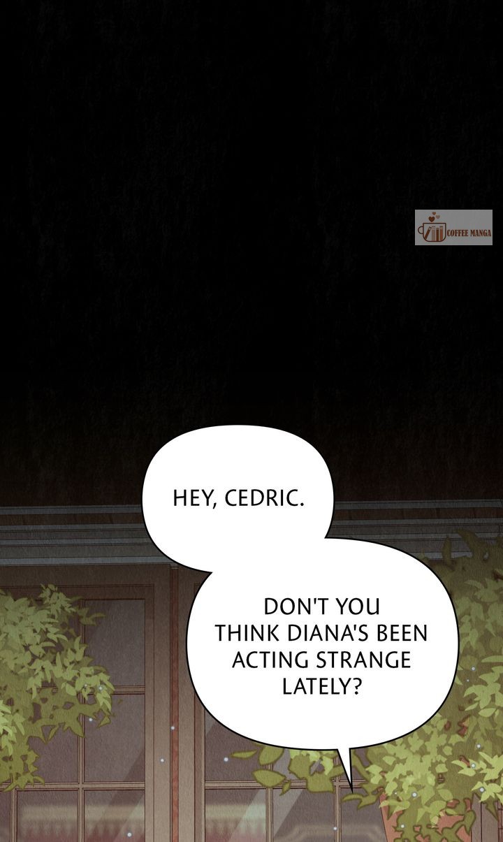 Dear, Not Cunning Witch Chapter 50 233 01