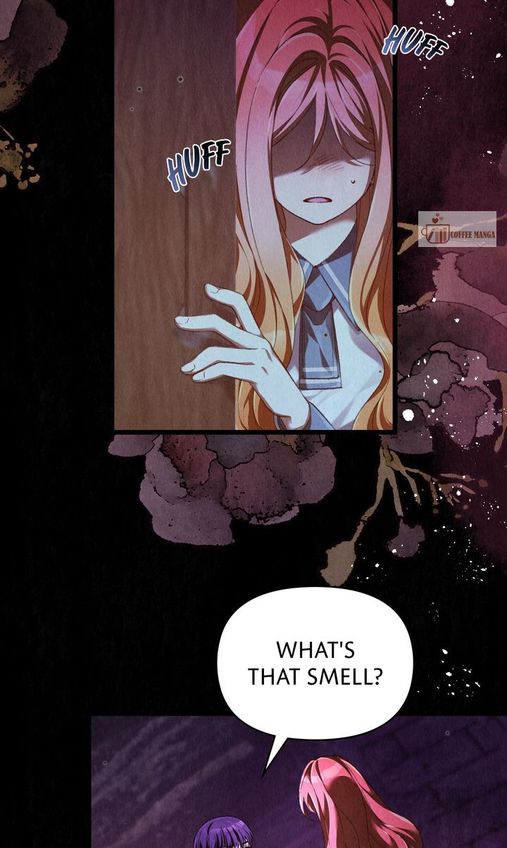 Dear, Not Cunning Witch Chapter 50 249 17
