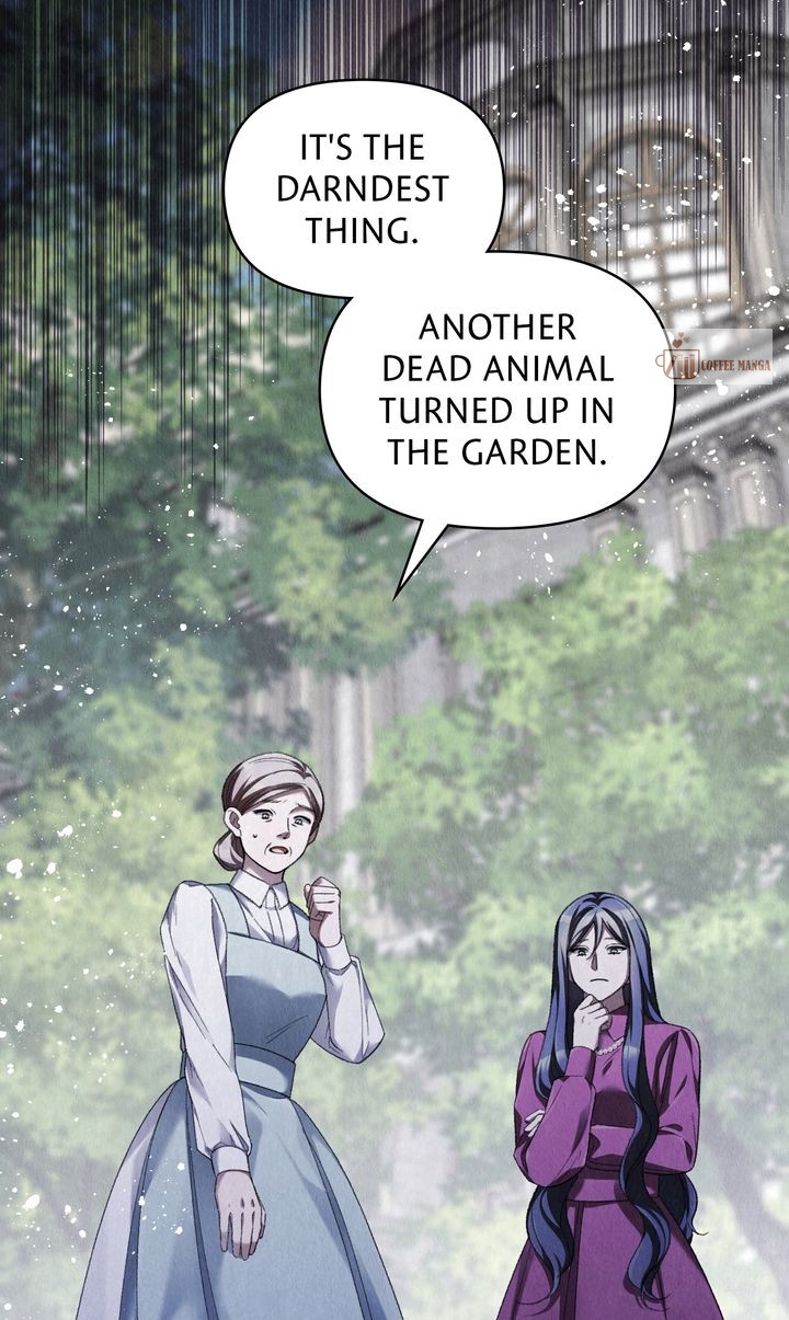 Dear, Not Cunning Witch Chapter 50 260 28