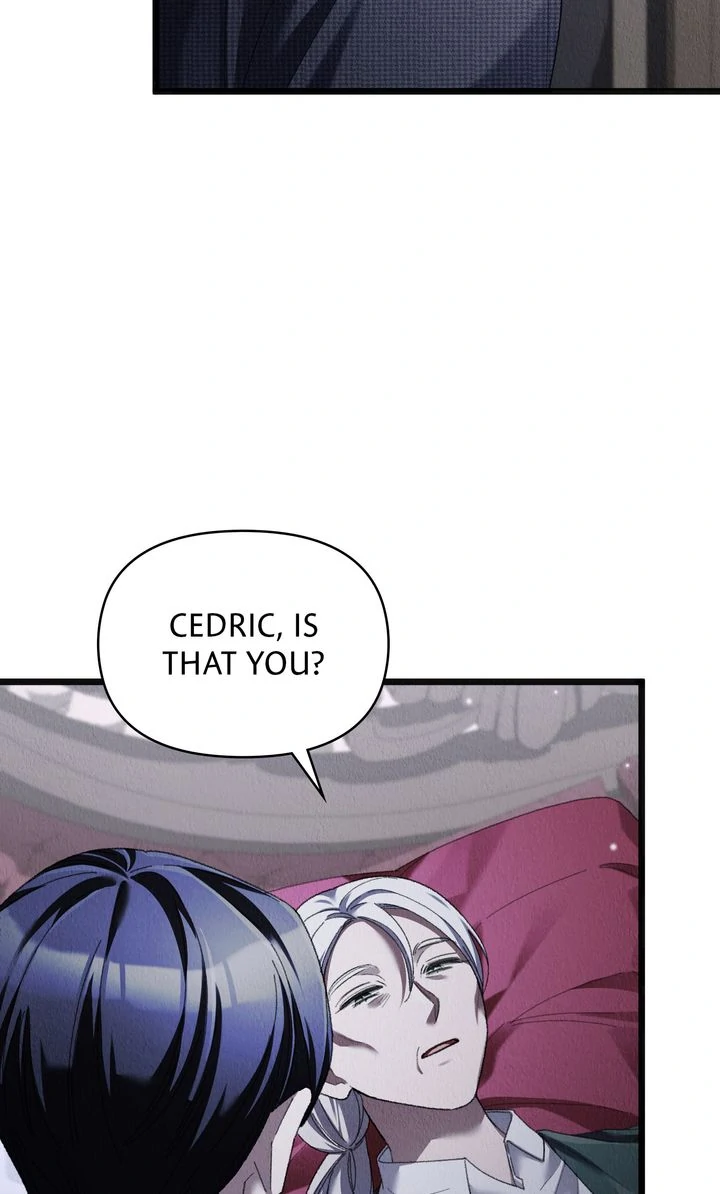 Dear, Not Cunning Witch Chapter 66 340 69