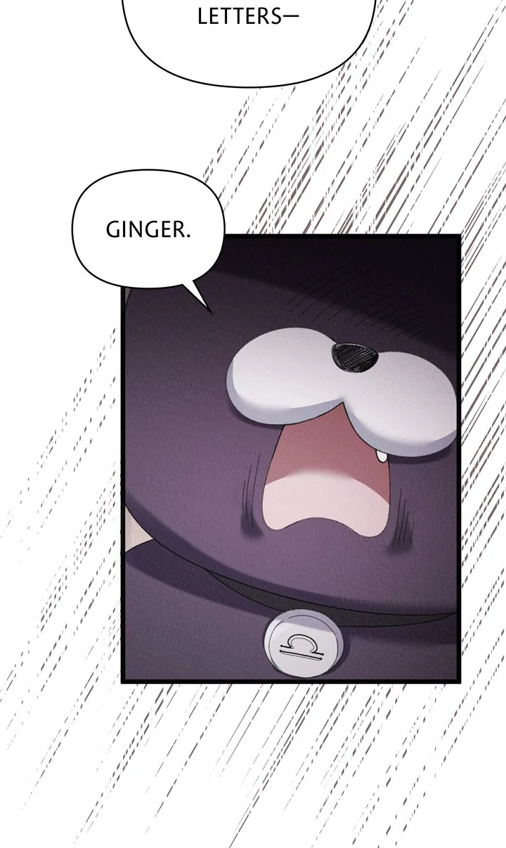 Dear, Not Cunning Witch Chapter 67 329 61