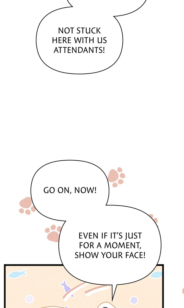 Dear, Not Cunning Witch Chapter 67 331 63