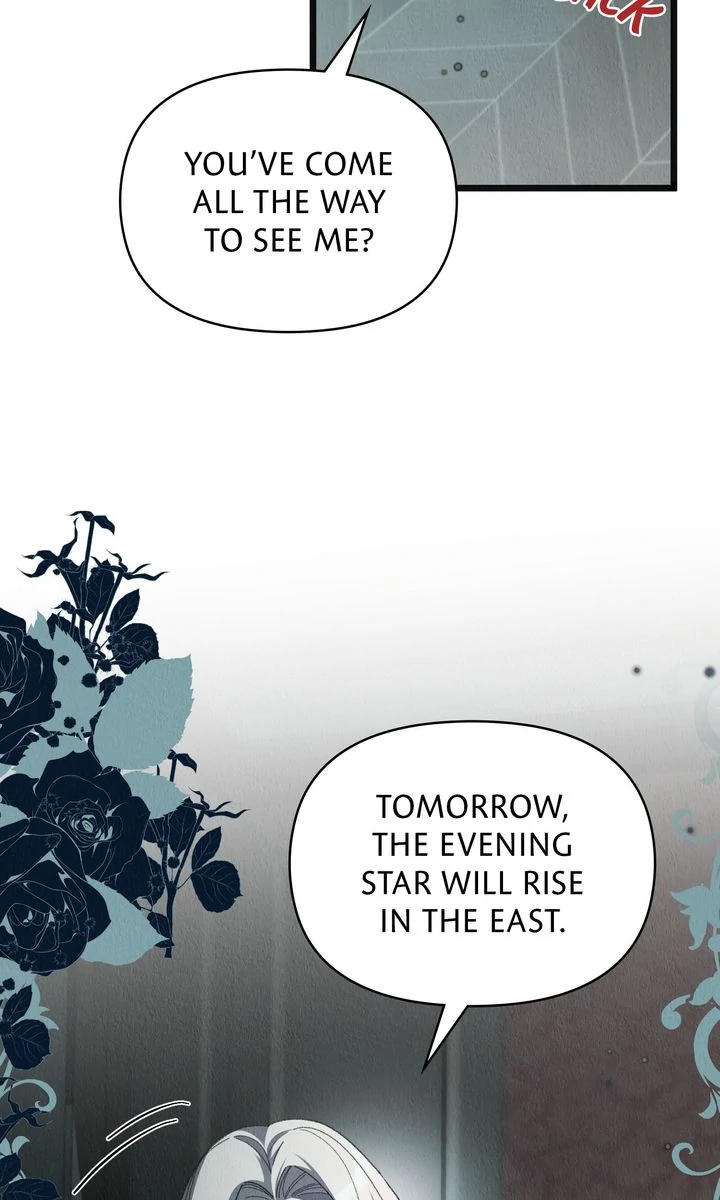 Dear, Not Cunning Witch Chapter 69 354 68