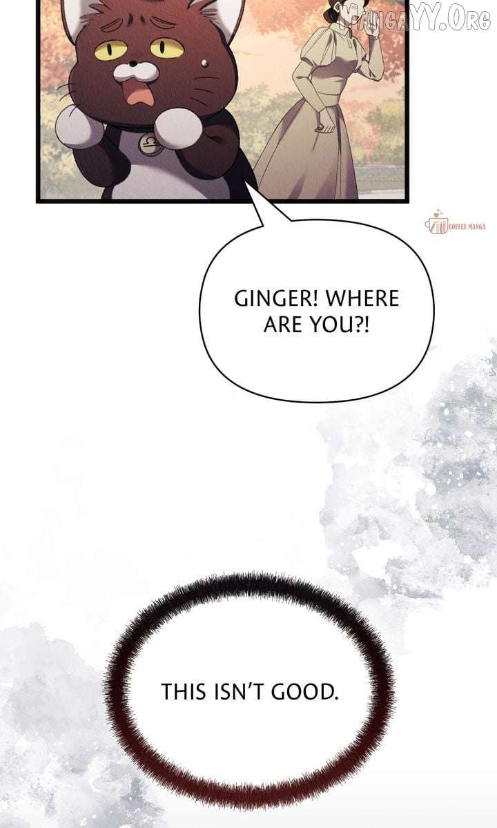Dear, Not Cunning Witch Chapter 73 272 13