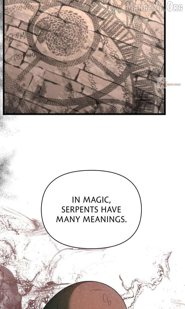 Dear, Not Cunning Witch Chapter 73 309 50