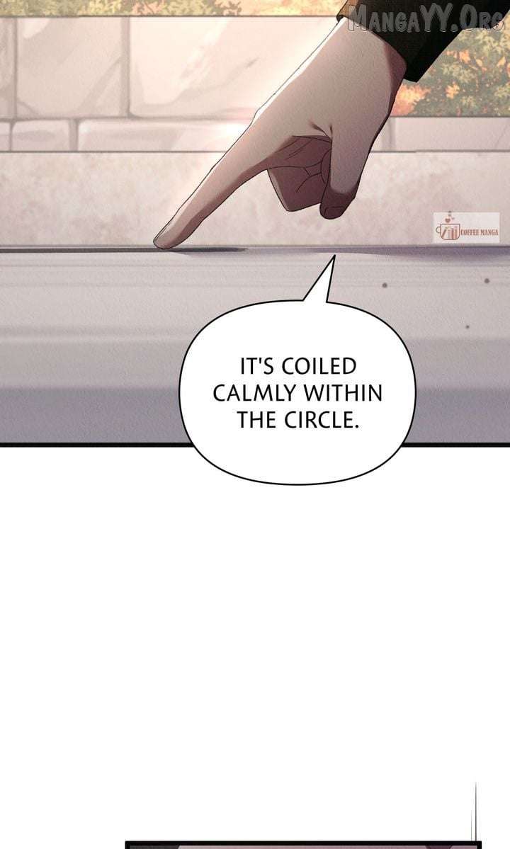 Dear, Not Cunning Witch Chapter 73 316 57