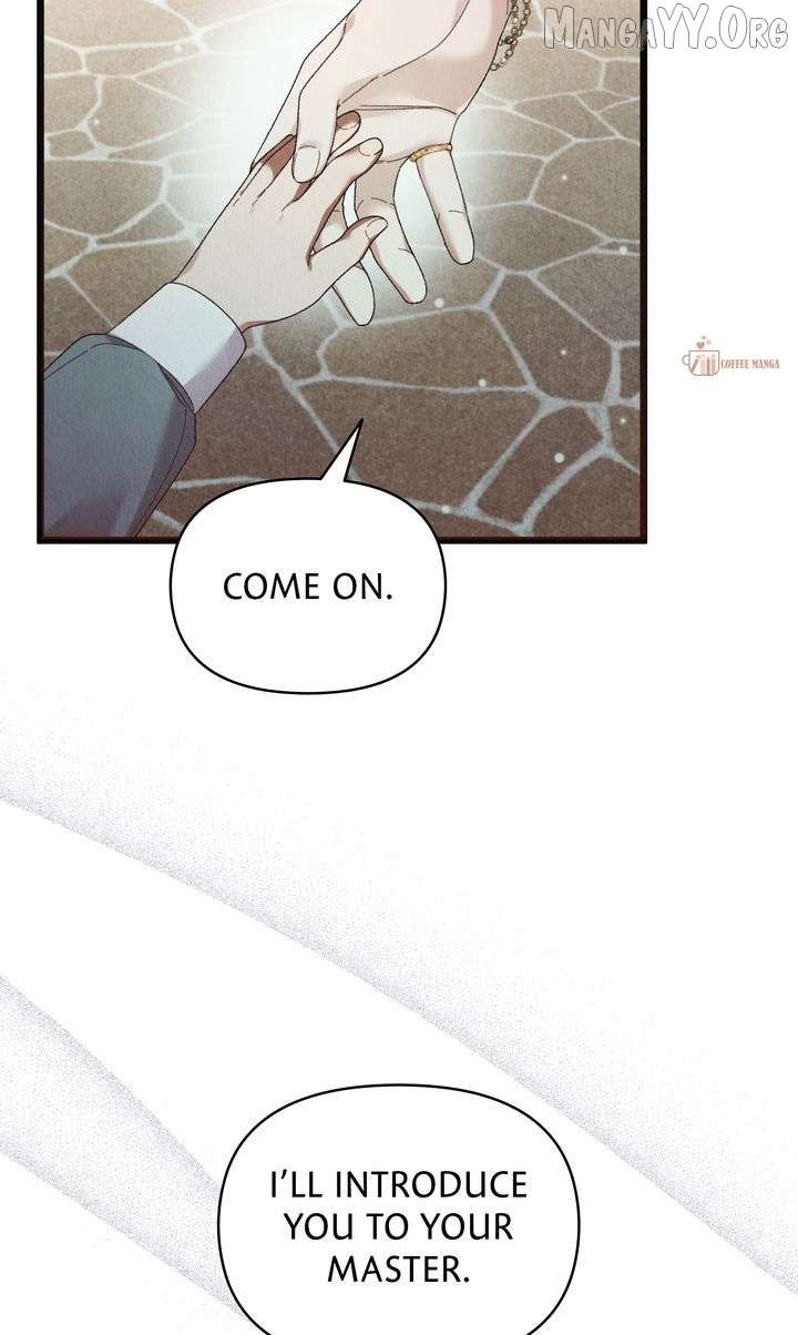 Dear, Not Cunning Witch Chapter 79 290 031