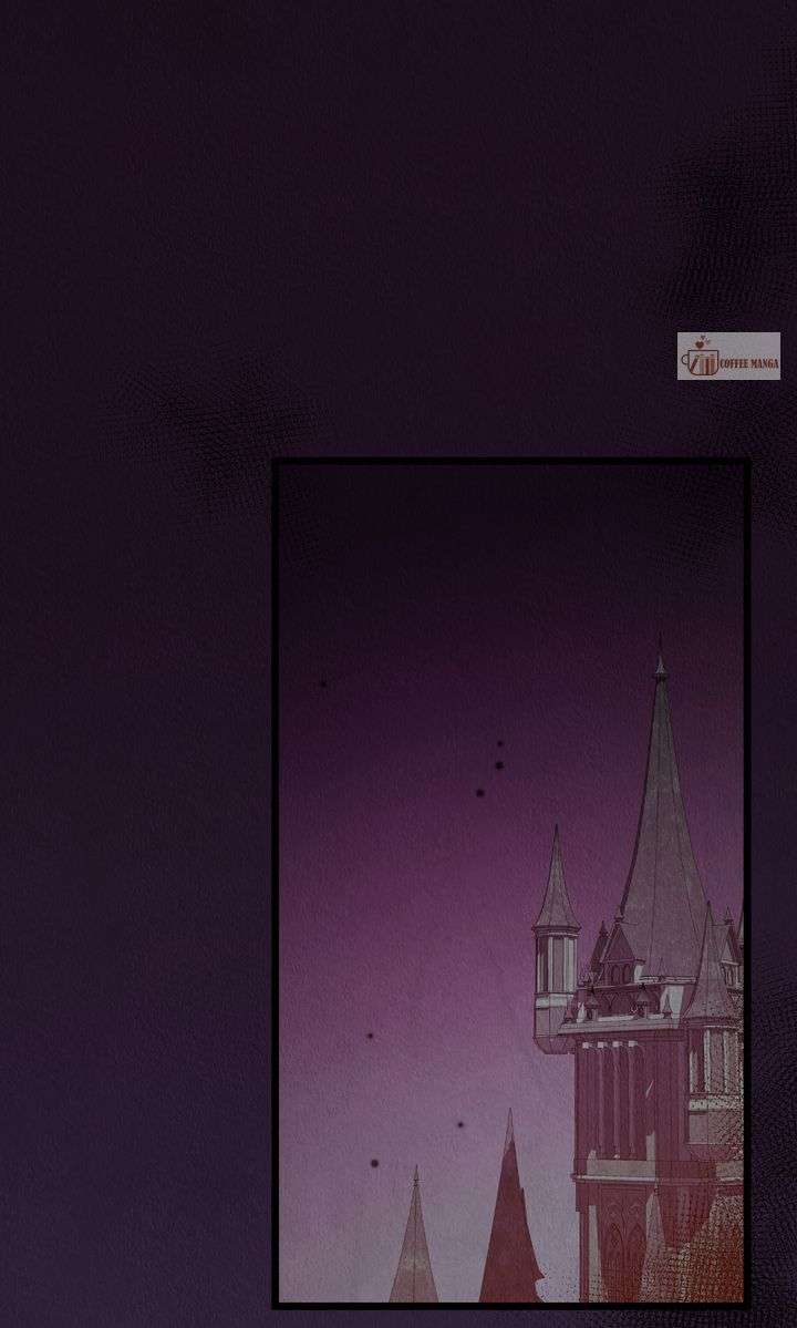 ch 81 19