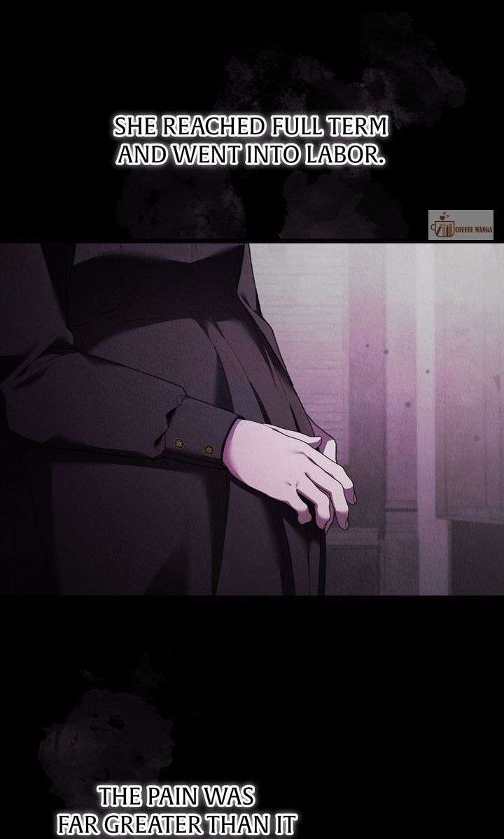 ch 81 74