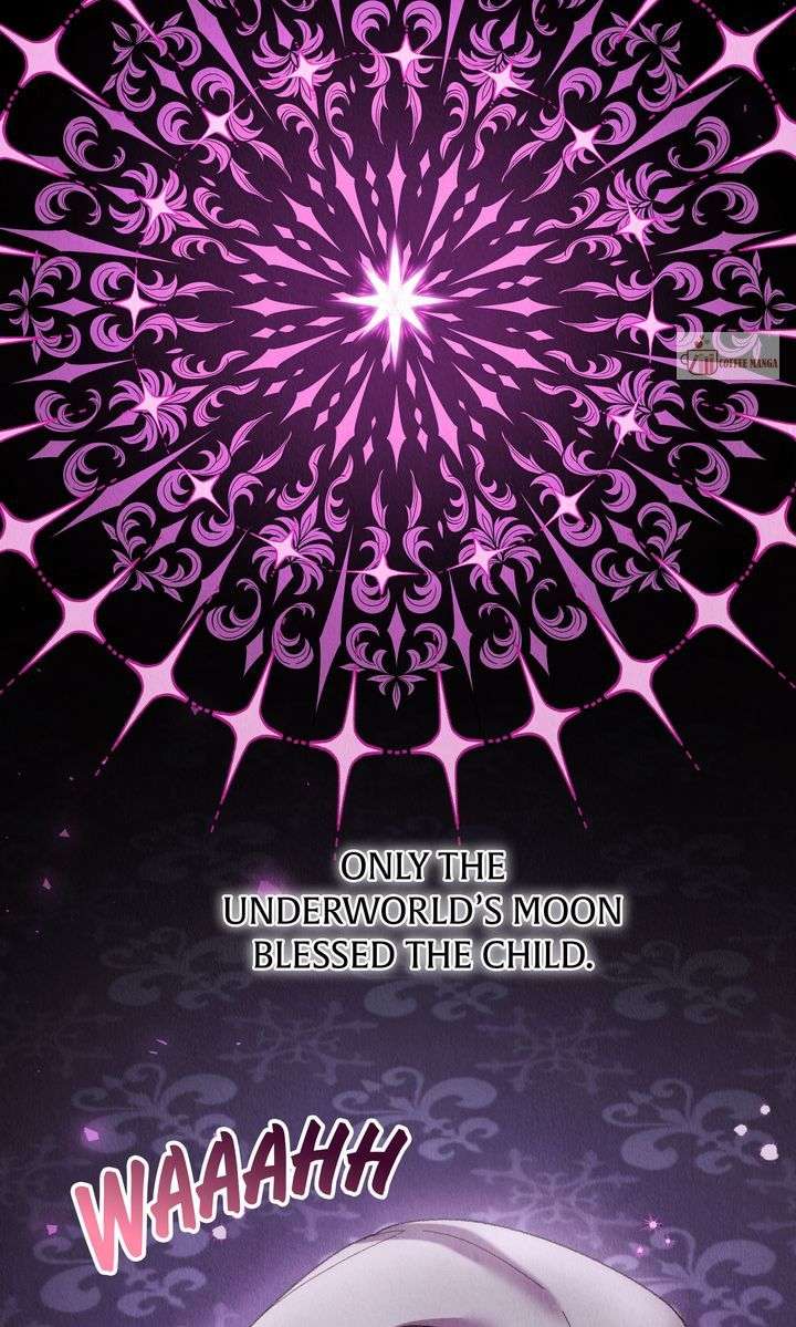 ch 81 78