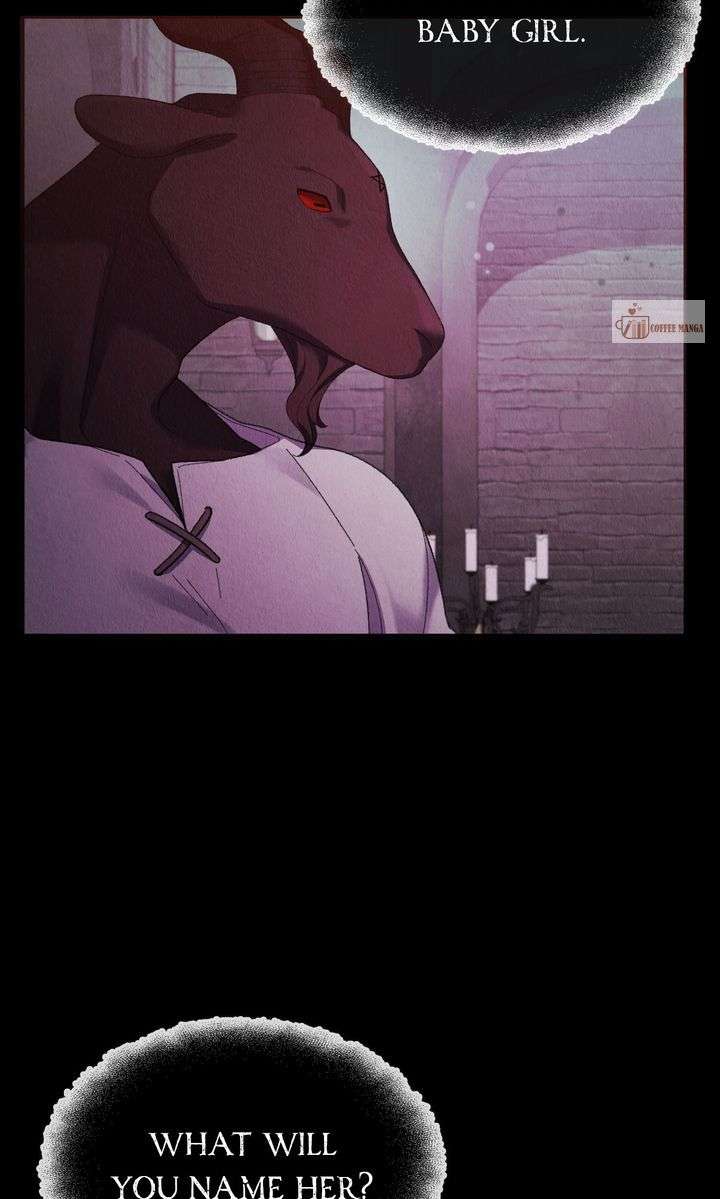 ch 81 80