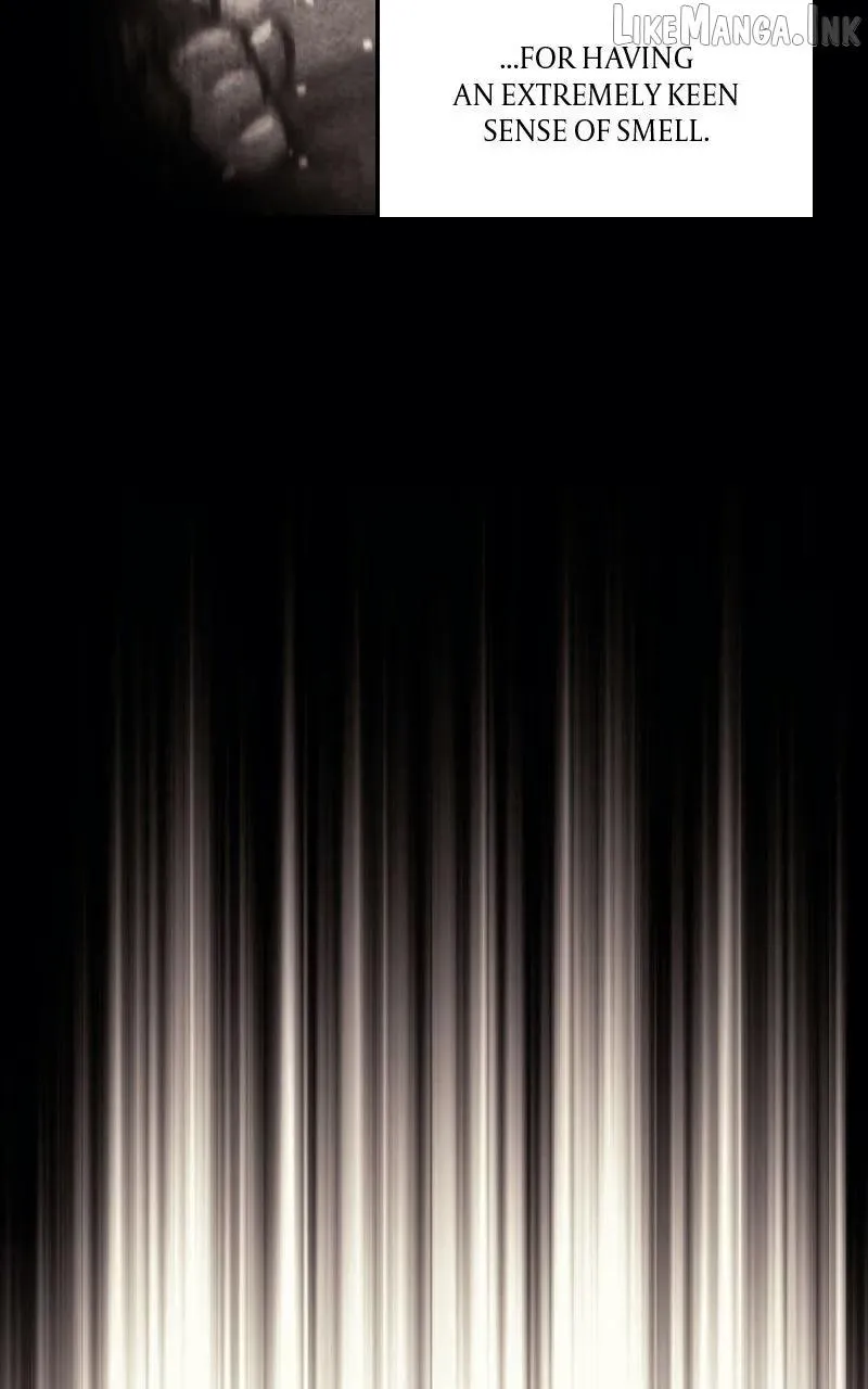 b3c2331d7ef1