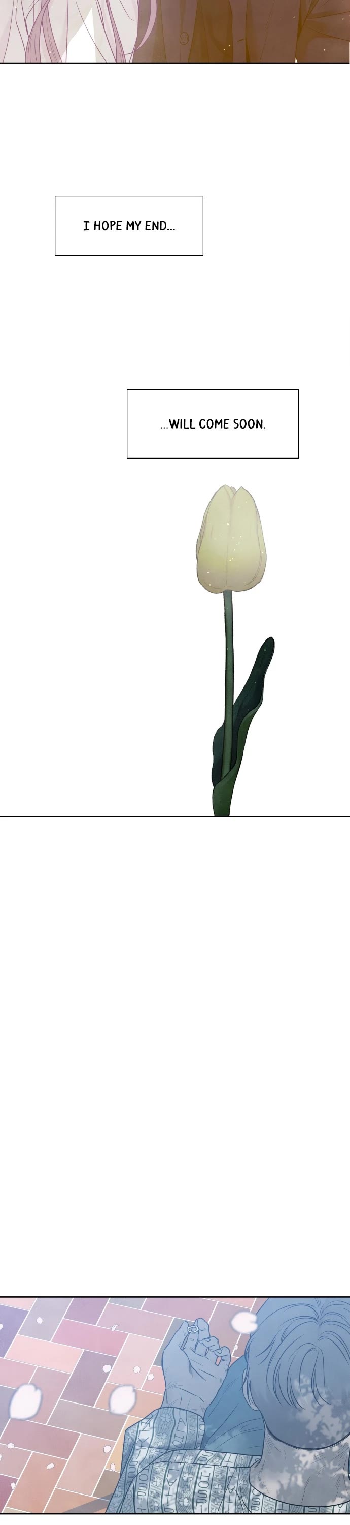 31 1