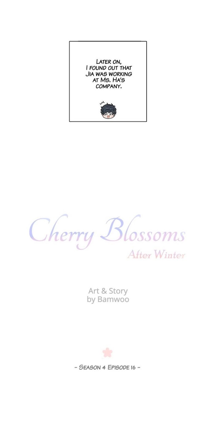 Cherry Blossoms After Winter Chapter 106 131 13